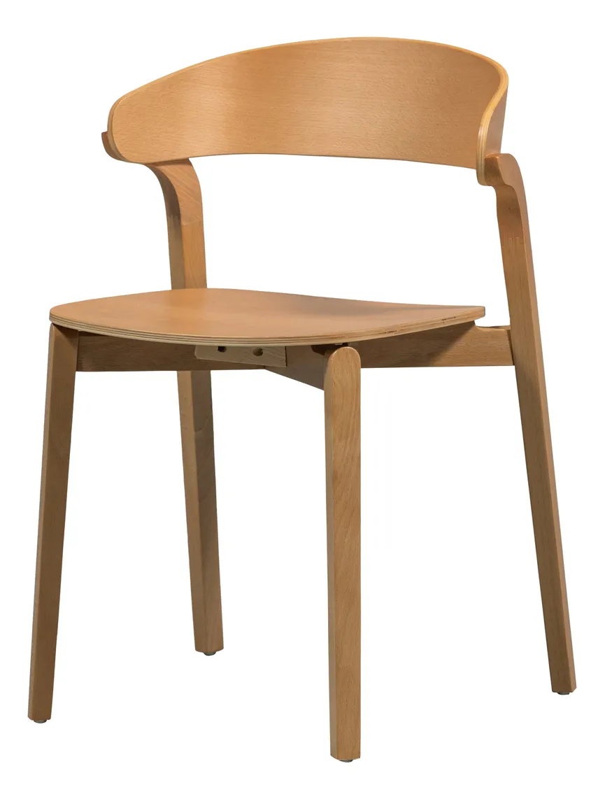 Stuhl hauptaufnahme