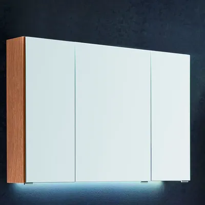 Spiegelschrank 