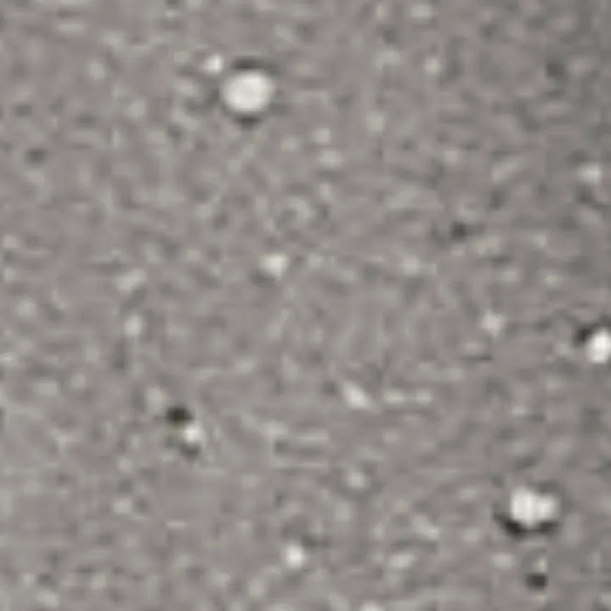 Kaffeeuntertasse material_farbe