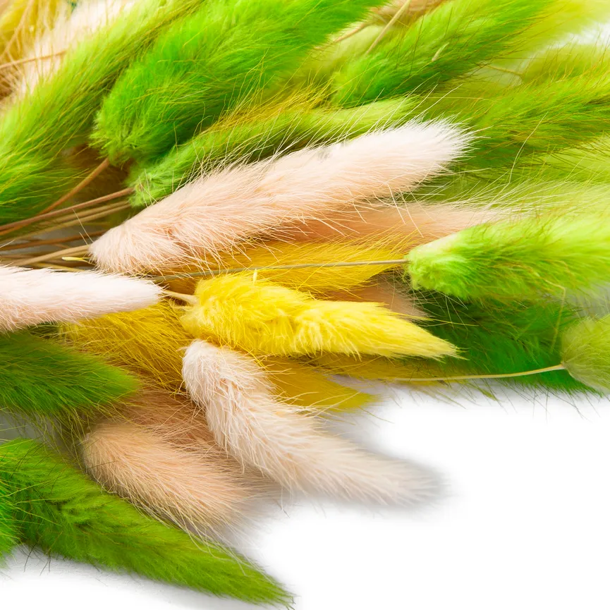 Strauß "Samtgras" detail