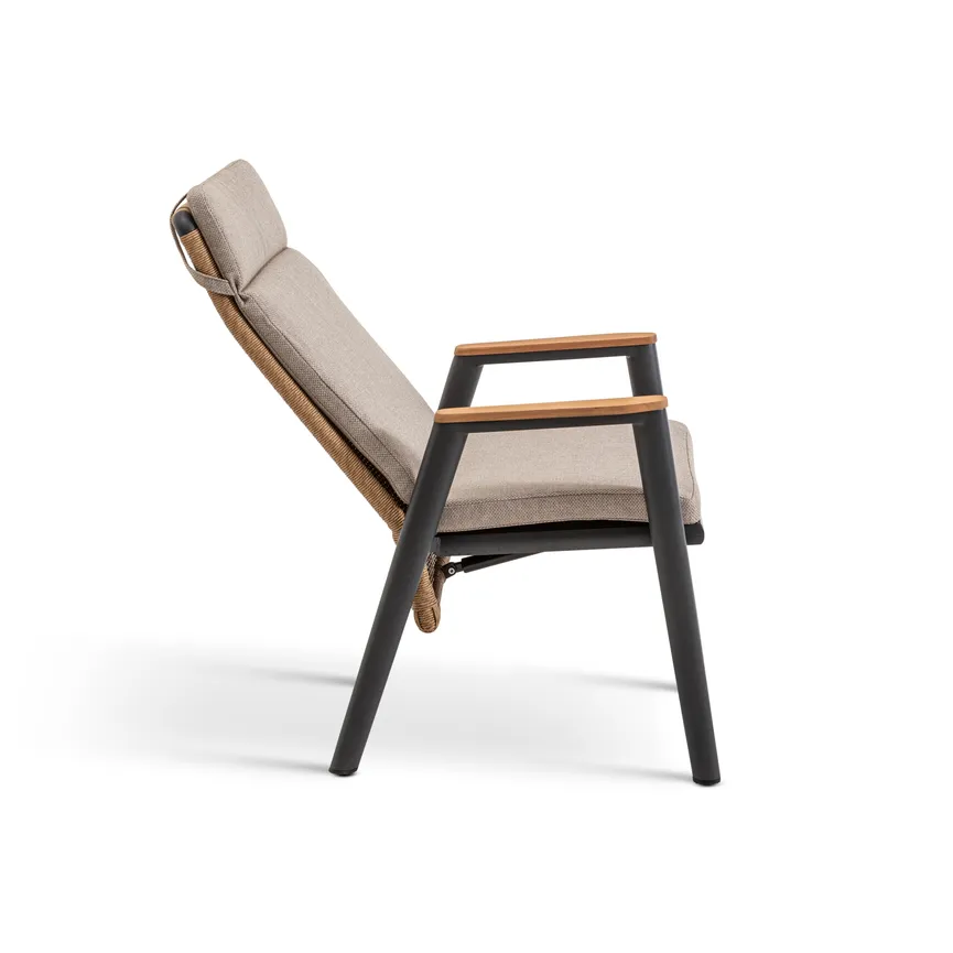 Dining Sessel detail