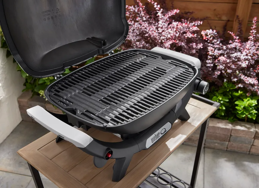 Weber Q2100N detail