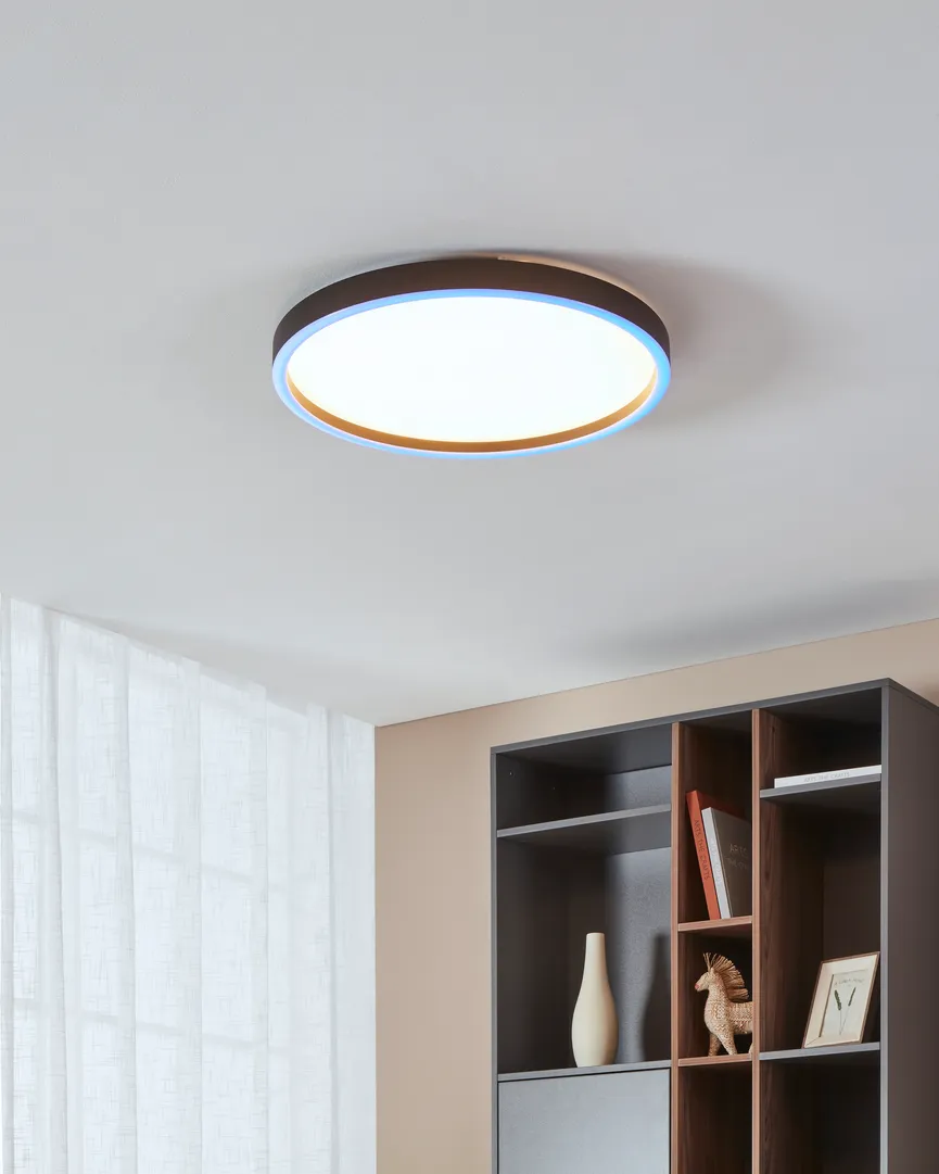 Deckenleuchte "Montemorelos-Z" milieu