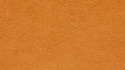 Curry material_farbe