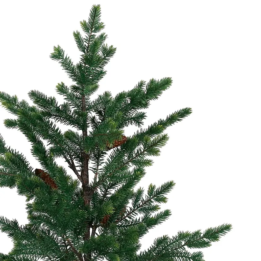 Tannenbaum S detail