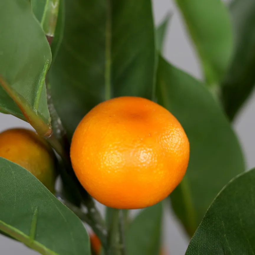 Mandarinenbaum detail