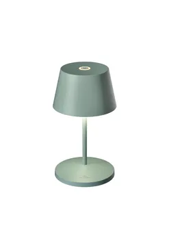 Olive material_farbe