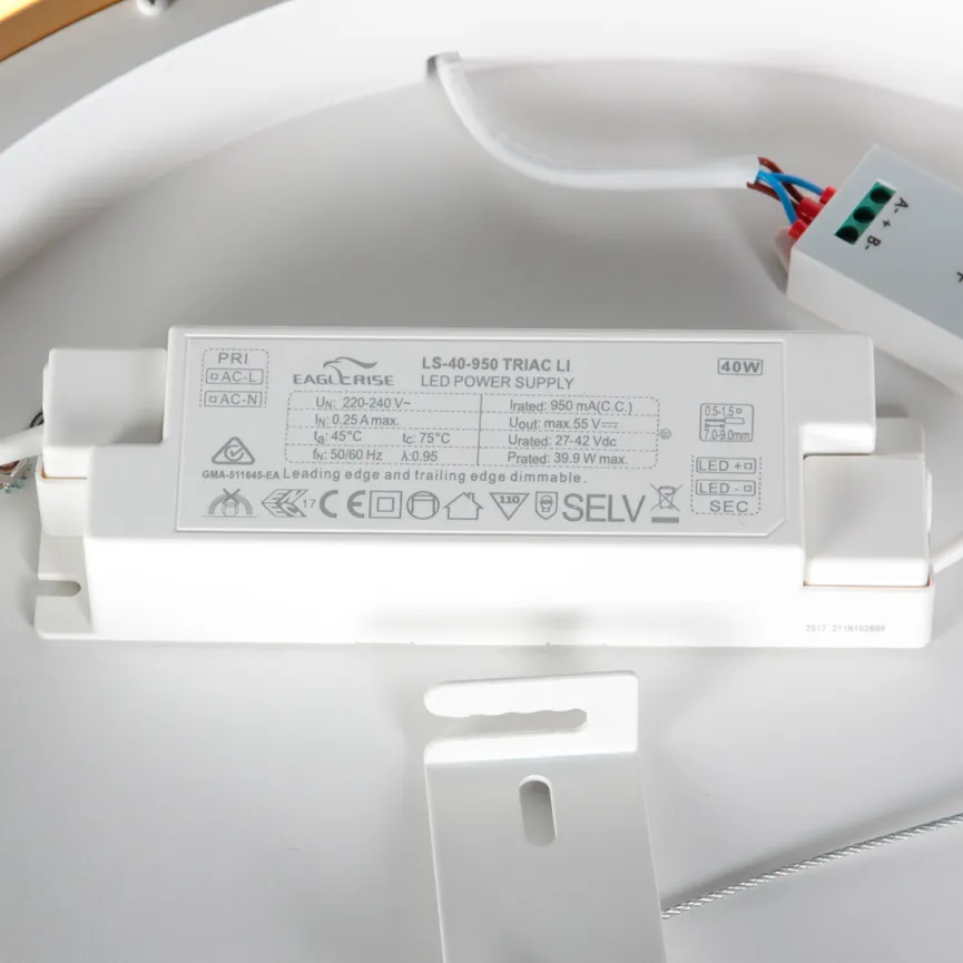 Deckenleuchte "Ringlux" detail