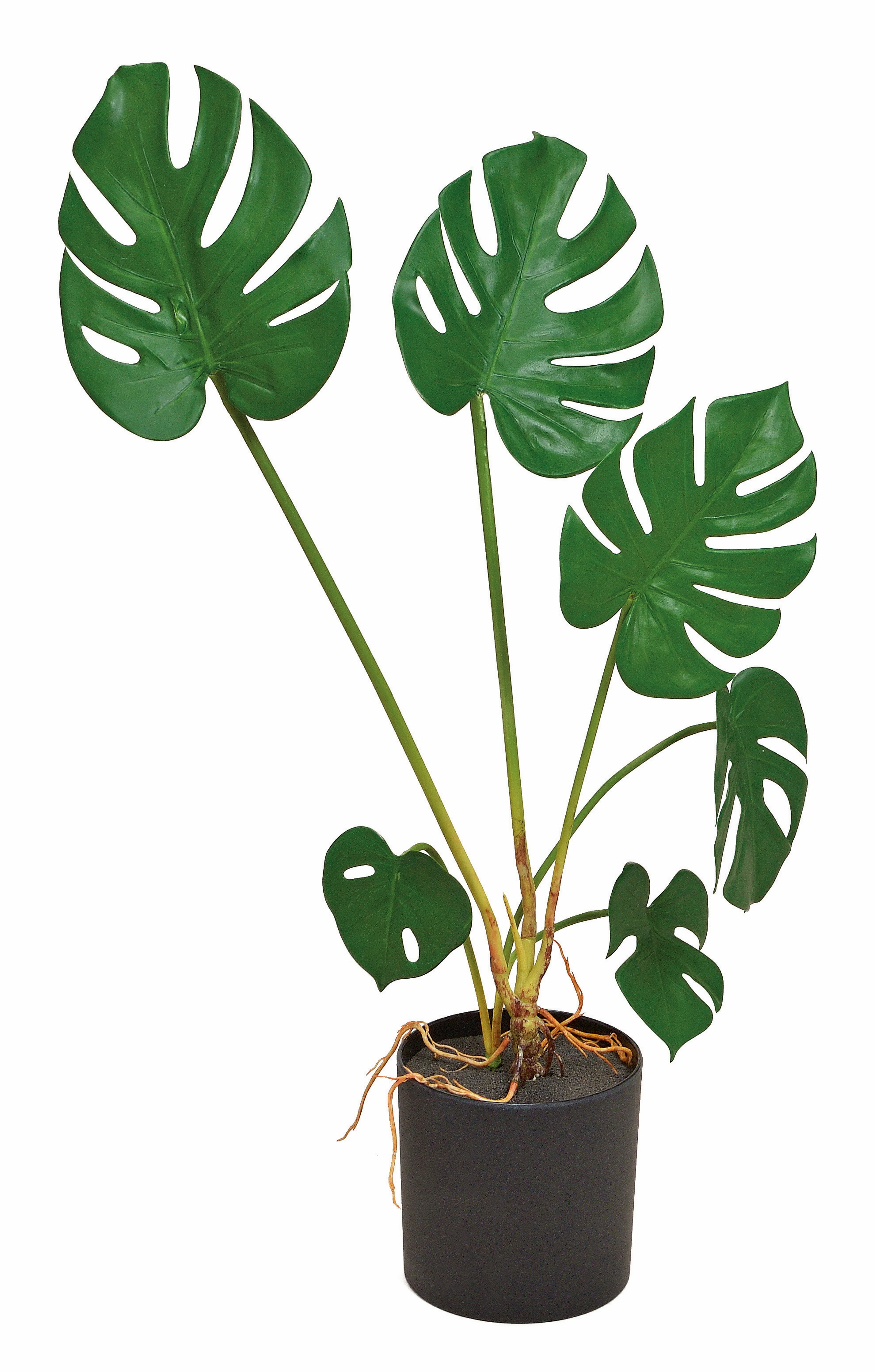 Kunstpflanze Monstera 70 cm