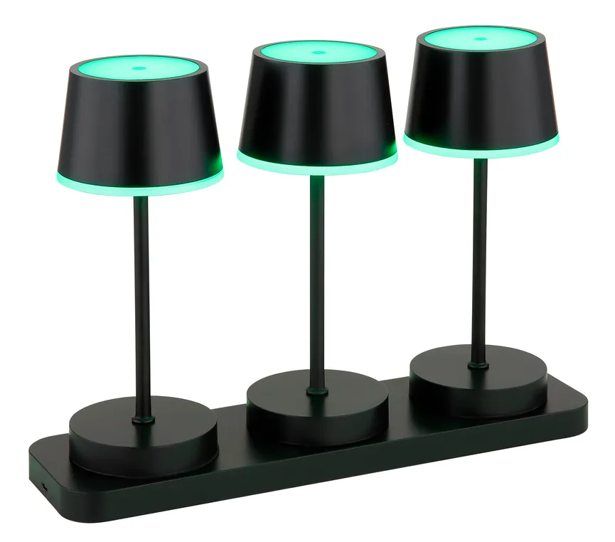 Akku-Tischleuchte "Dawson" detail