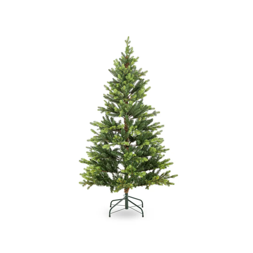 Tannenbaum S hauptaufnahme