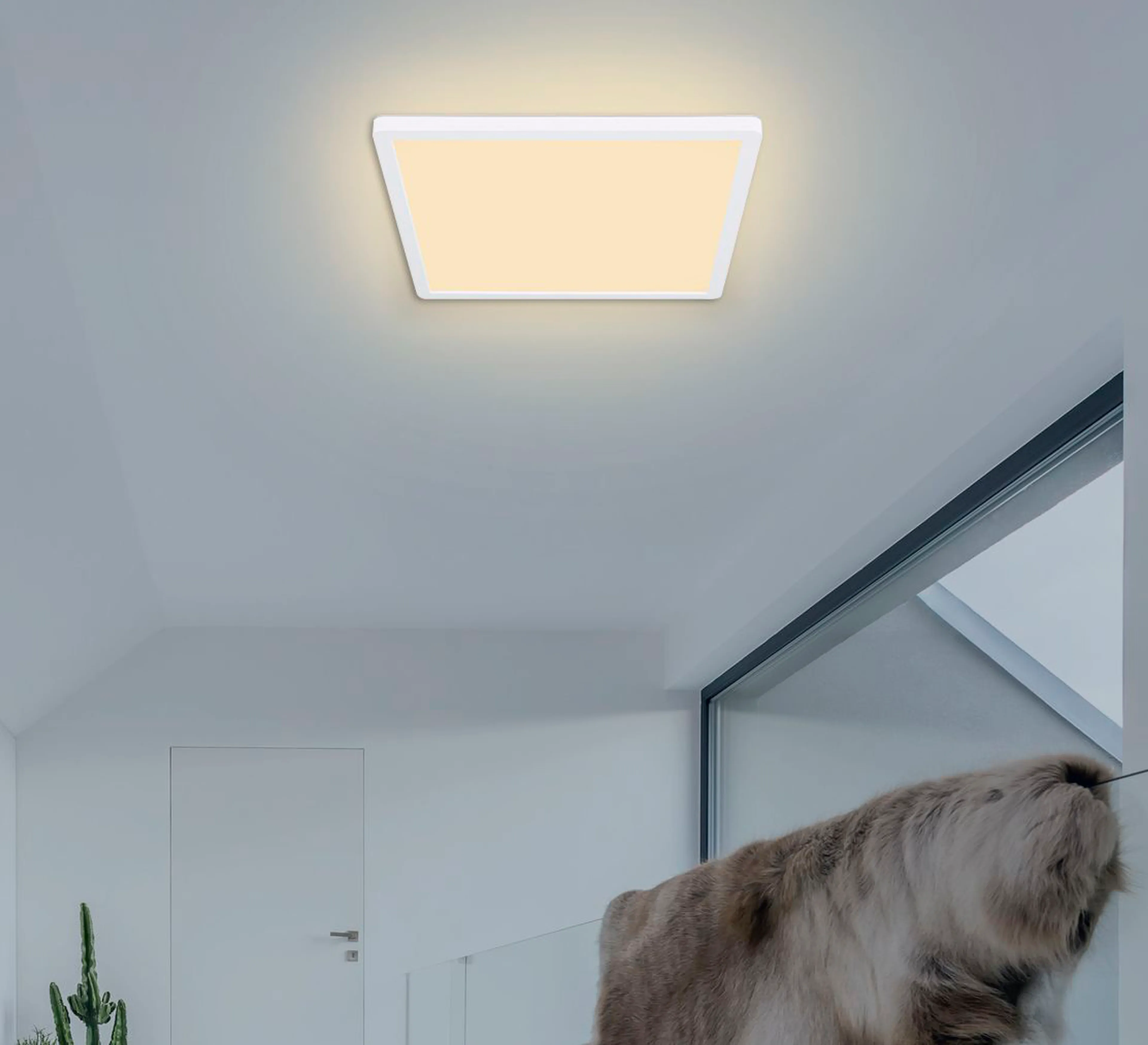 LED-Deckenleuchte Sapana