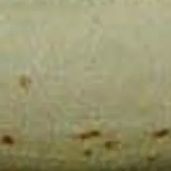 Beige material_farbe