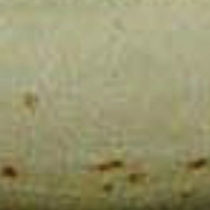 Sojaschale "Nature Collection" material_farbe