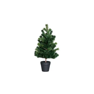 Weihnachtsbaum