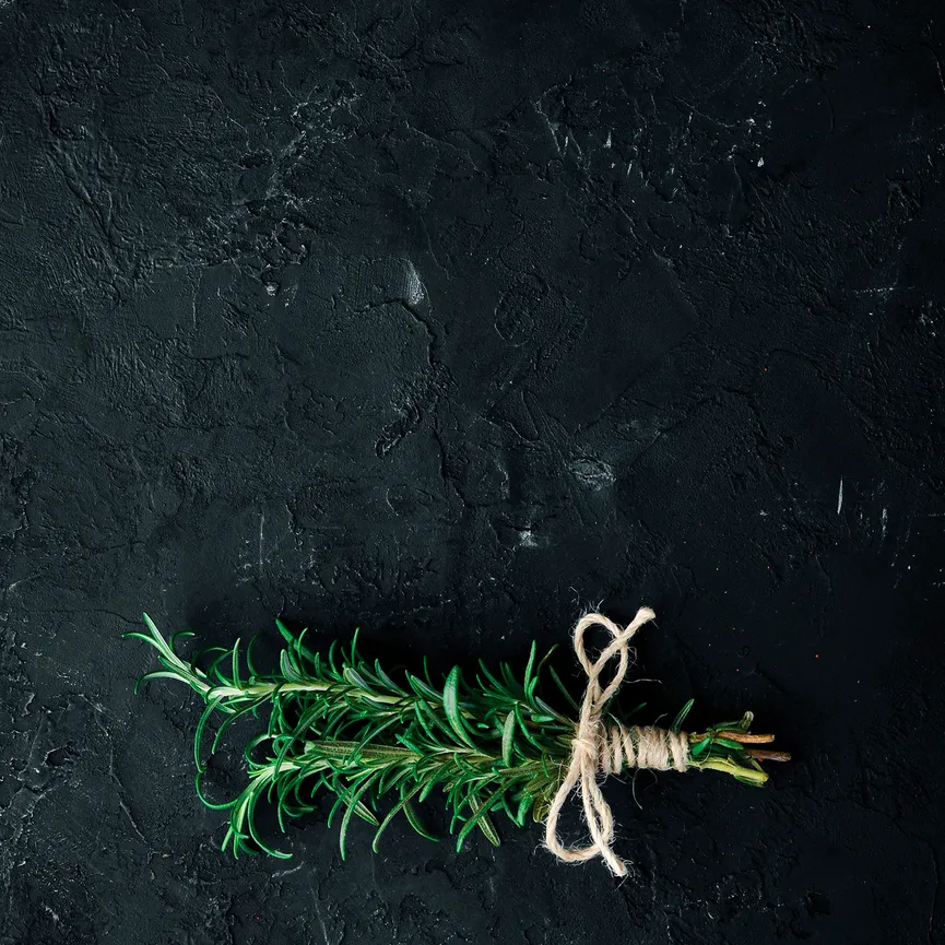Küche / Kräuter - Rosemary III hauptaufnahme
