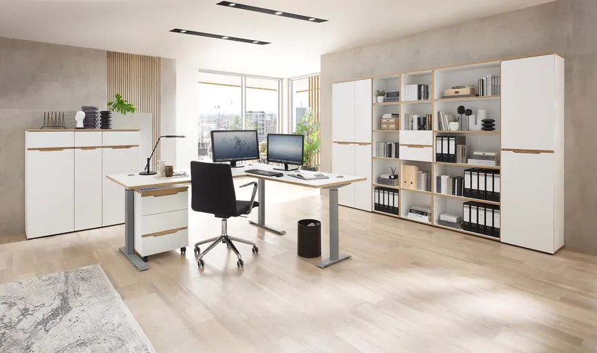 Büroregal milieu