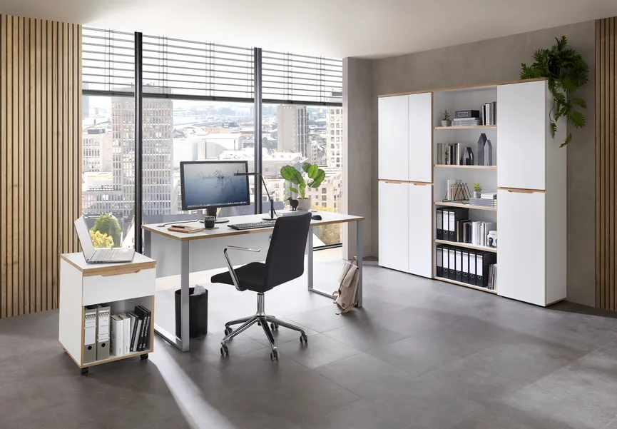 Büroschrank milieu