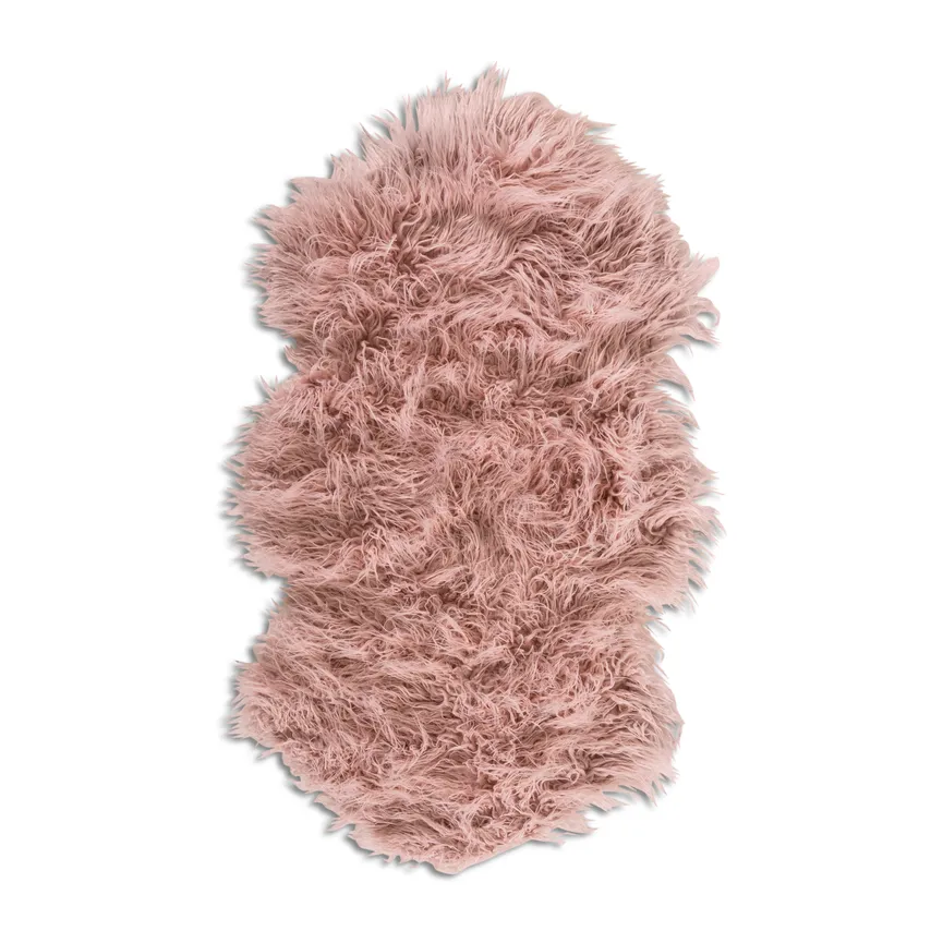 ** Mongolian hauptaufnahme