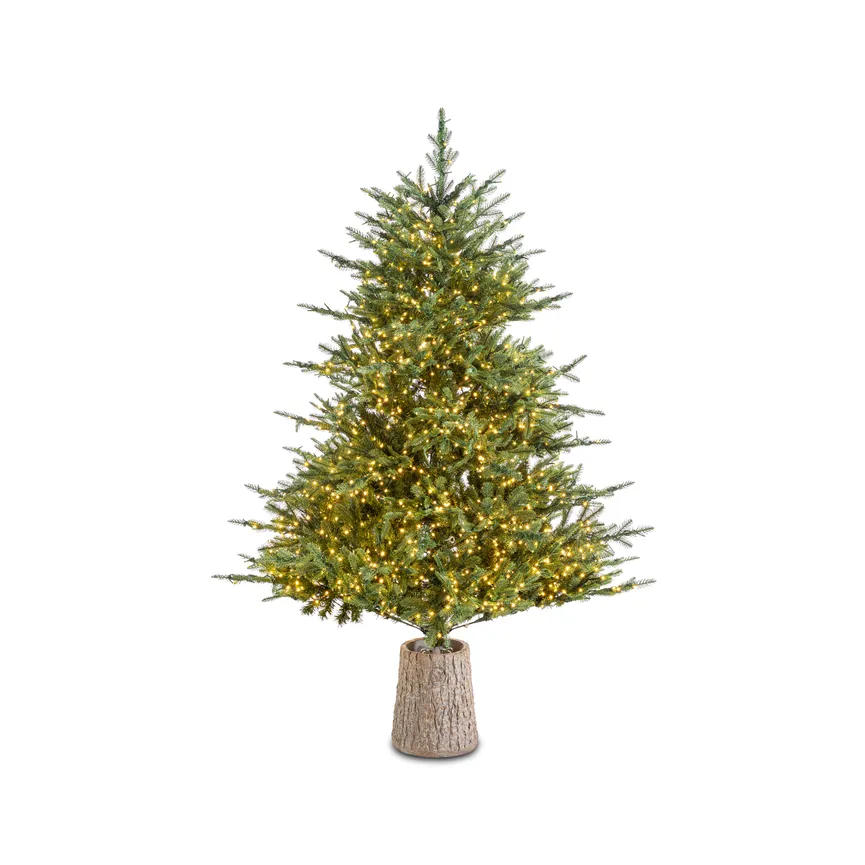 Tannenbaum grün M hauptaufnahme