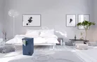 milieu