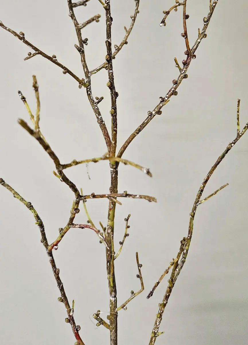 Lärchenzweigzweig "Winter" detail