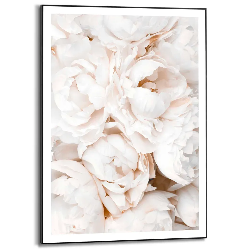 Bild gerahmt "White Roses" hauptaufnahme