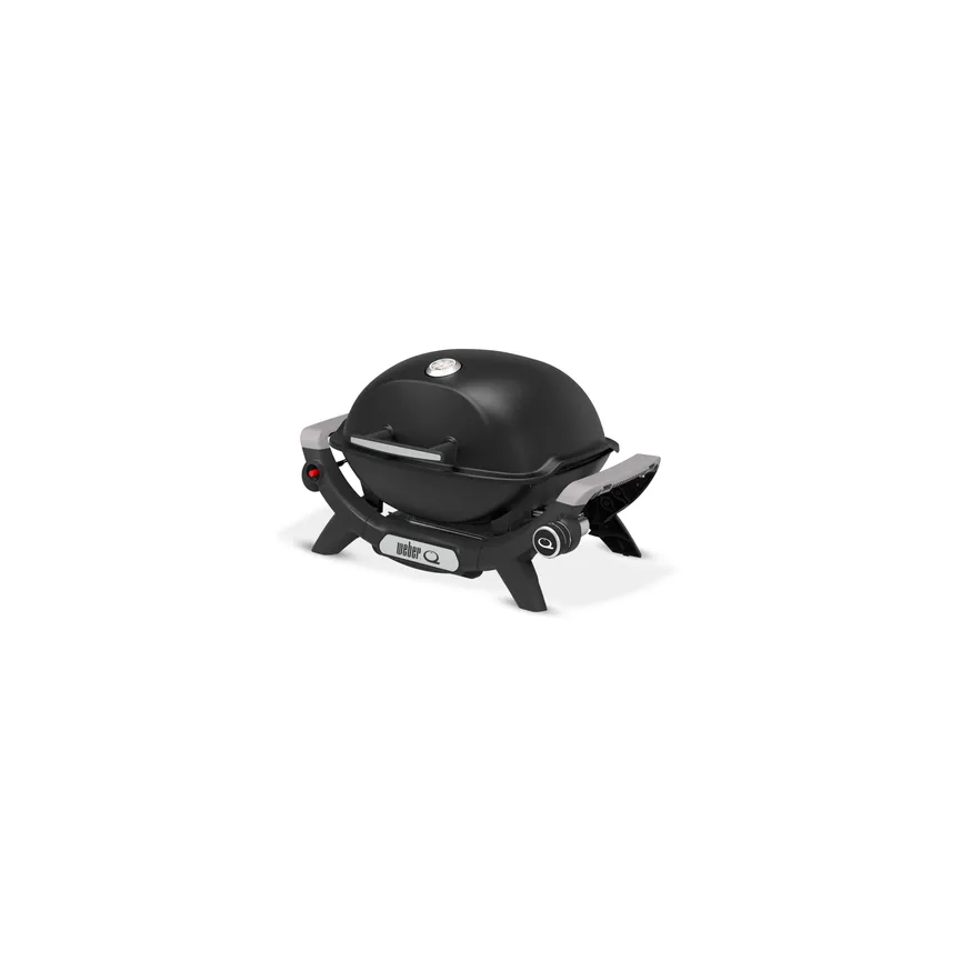 Weber Q2100N detail