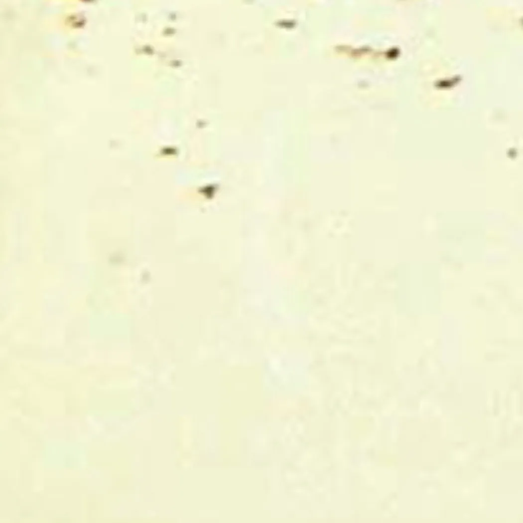 material_farbe