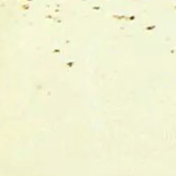 Beige material_farbe