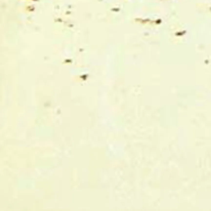 Platte "Nature Collection" material_farbe