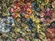 FARBE