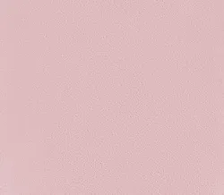 Rose material_farbe