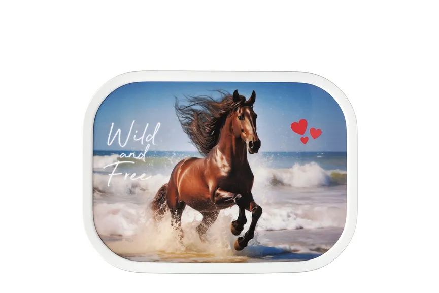 Brotdose campus - wild horse hauptaufnahme