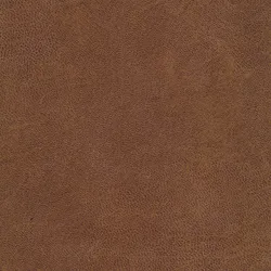 Camel material_farbe