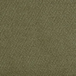 Winter Moss material_farbe