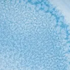 material_farbe