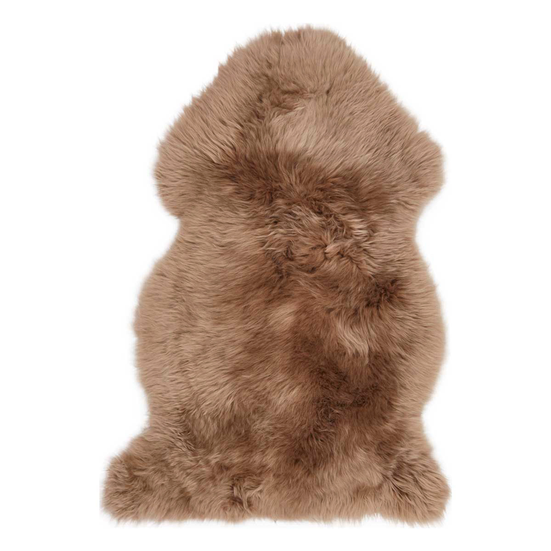 Schaf- hauptaufnahme