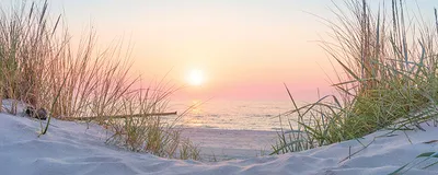 Glasbild 125 x 50 cm