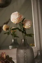 milieu