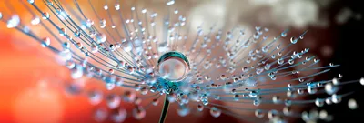 Glasbild 98 x 33 cm