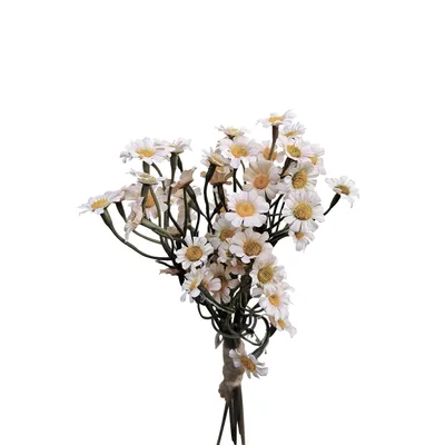 Kunstblume