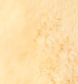 Beige material_farbe