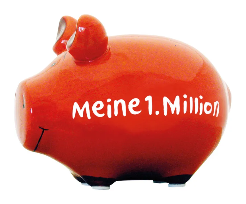 Sparschwein "Meine 1. Million" hauptaufnahme
