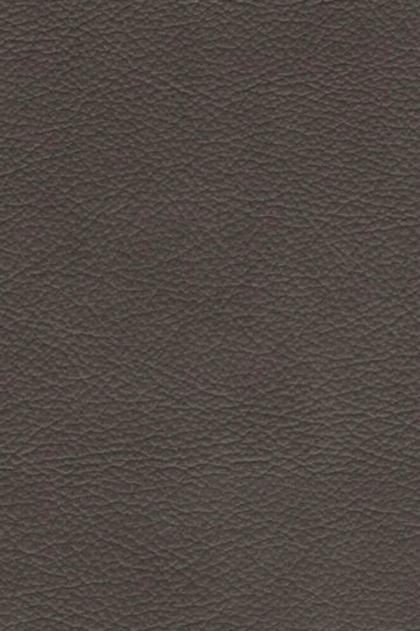 AL-Stuhl Eisen material_farbe