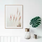 milieu