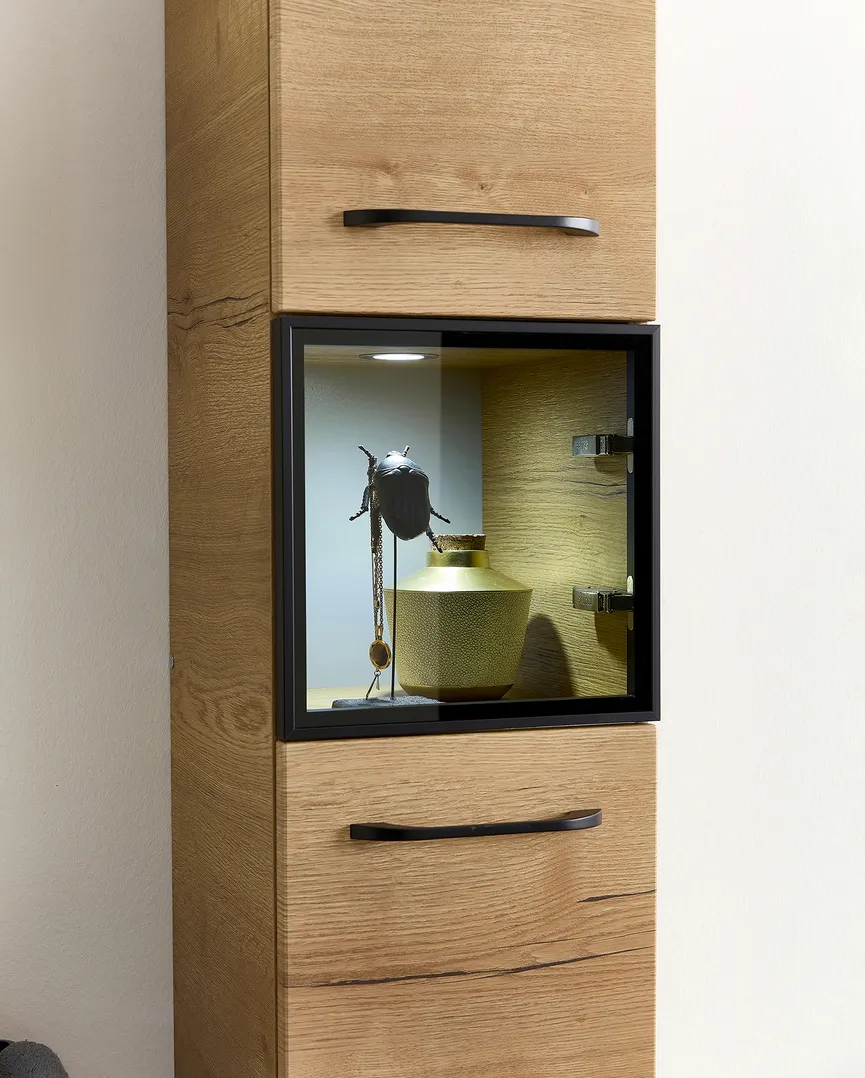 *Vitrinen-Hochschrank detail