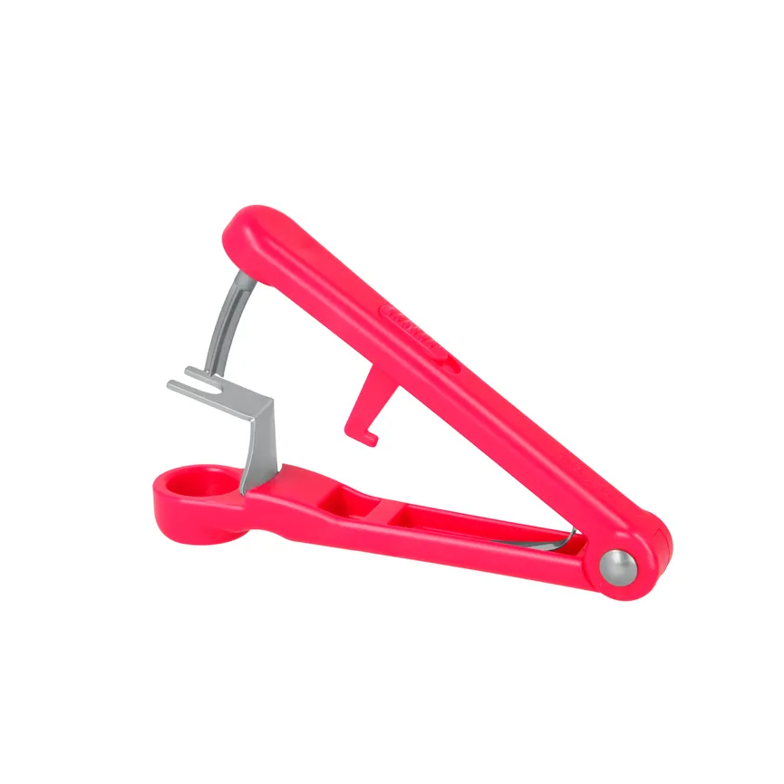 Kirschenentsteiner Lady Kirsch detail