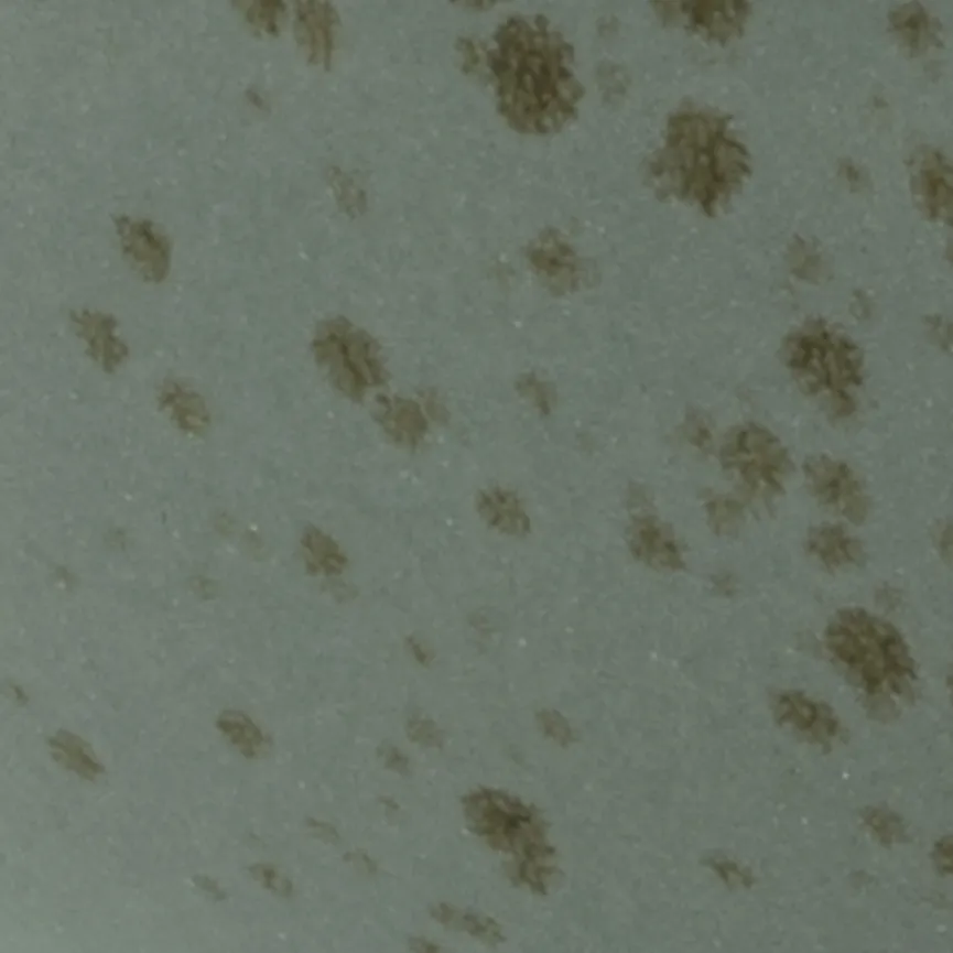 Poke Bowl "Nature Collection" material_farbe