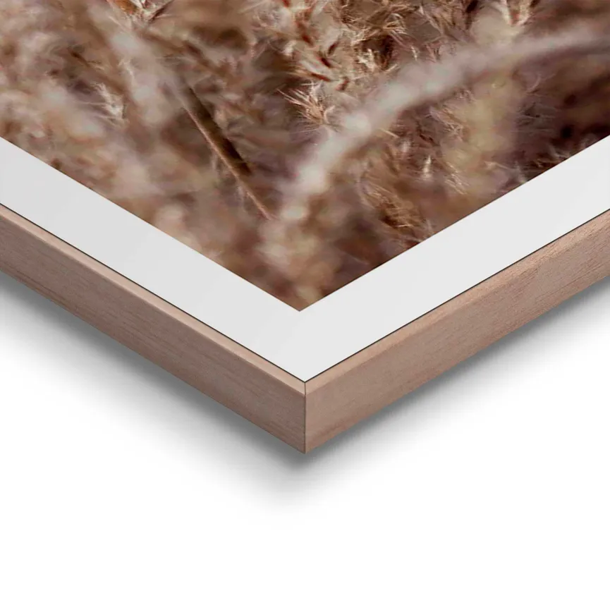 Bild gerahmt "Field Grass" detail